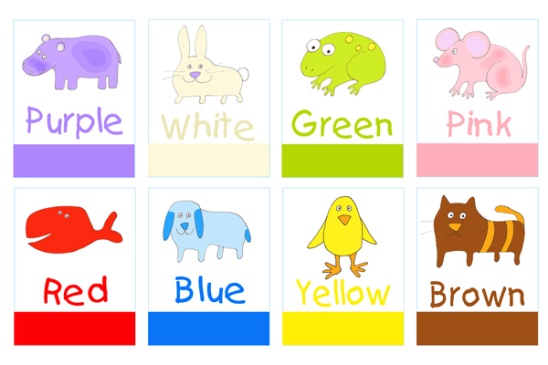 color-flash-cards